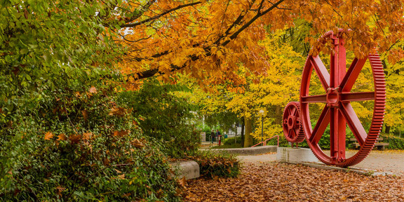 Zahnrad von Bäumen in herbstlichen Farben umgeben.